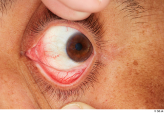 HD Eyes Jose Puig eye eyebrow eyelash iris pupil skin…